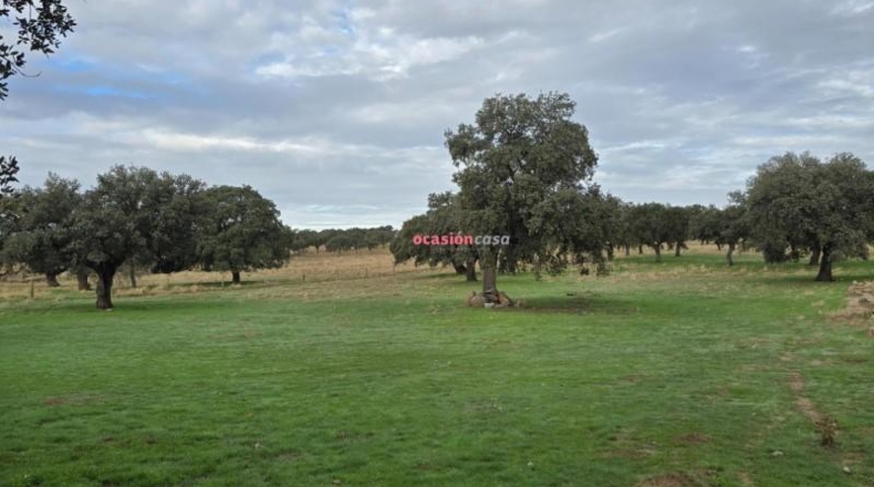 Córdoba - Torrecampo - 53151m2