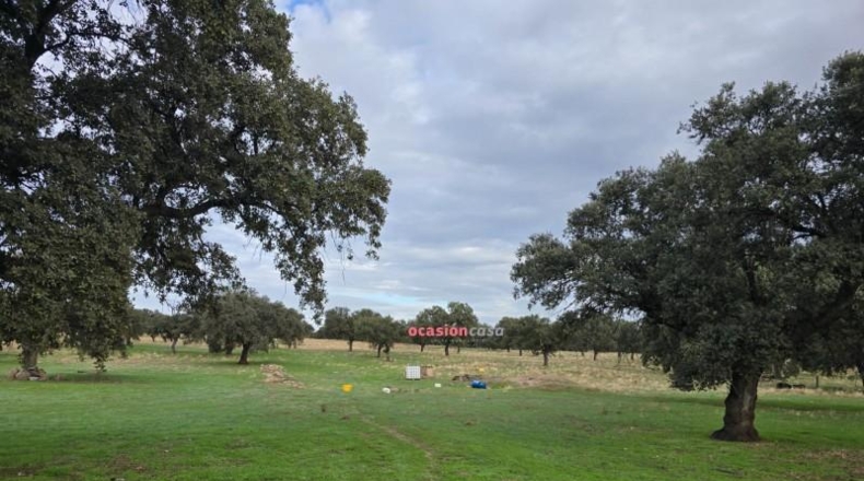 Córdoba - Torrecampo - 53151m2