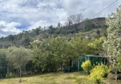 Casa de camp amb terreny en venda a la España, Oviedo, ref.: TR388115 foto