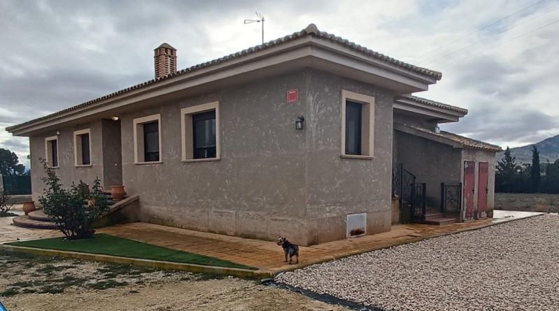 Valencia - Valencia - 8200m2