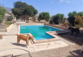 Chalet independiente con terreno en venta en la España, Arico el Nuevo, ref: TR388128 foto