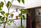 Casa de poble en venda a la España, Sanlúcar de Barrameda, ref.: TR388105 foto