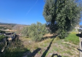 Sòl urbà en venda a la Bisbal del Penedès ref.: TR388125 foto