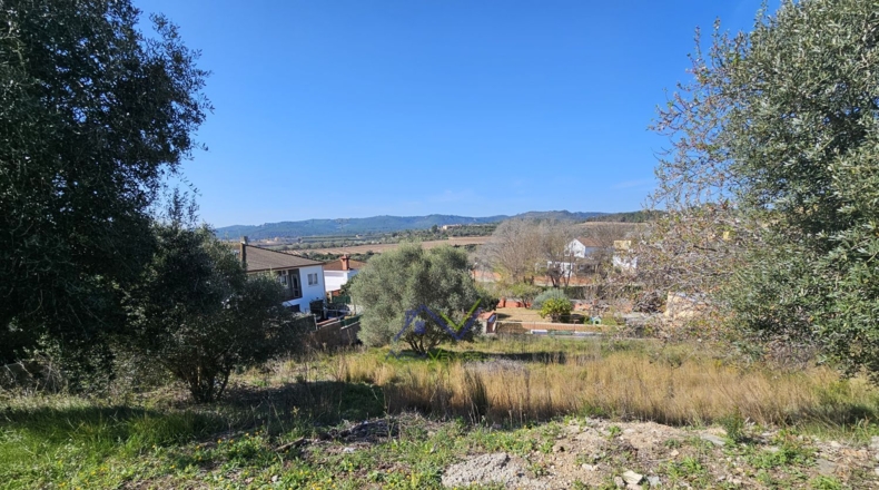Таррагона - La Bisbal del Penedès - 600m2
