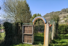Foto 11