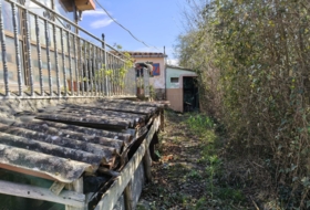 Foto 15