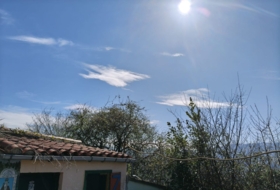 Foto 20