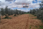 Non-developable land for sale in Valdepeñas ref: TR388085 photo