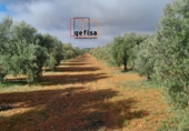 Non-developable land for sale in Valdepeñas ref: TR388124 photo