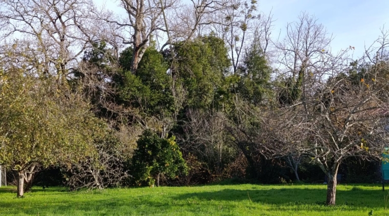 Astúries - Villaviciosa - 704m2