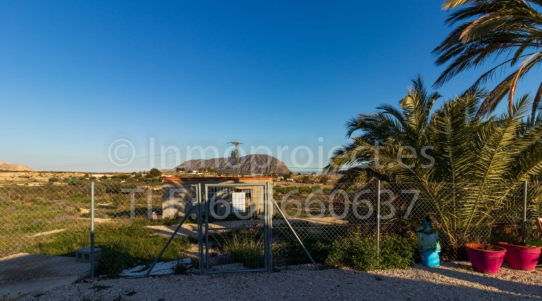 Alicante - Alacant - 15000m2