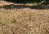 Land suitable for development for sale on Alameda 8, Alfacar, ref: TR76594 photo
