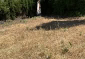 Land suitable for development for sale on Alameda 8, Alfacar, ref: TR76594 photo