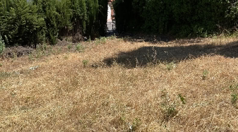 Granada - Alfacar - 750m2