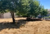 Suelo urbano en venta en la Reboredo, San Cibrao das Viñas, ref: TR388180 foto