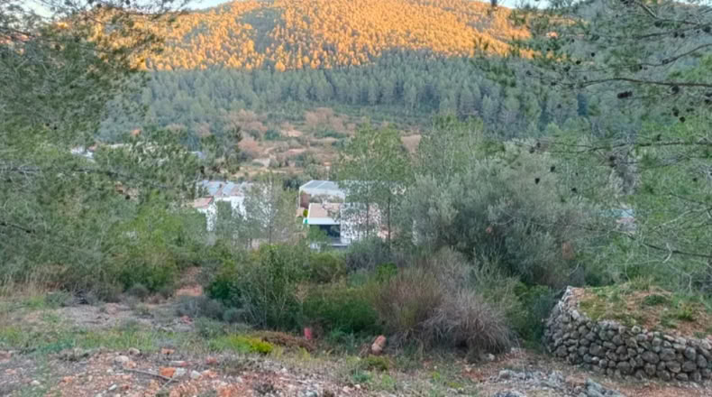 Barcelona - Corbera de Llobregat - 736m2