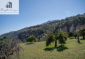 Village house for sale on España, Albuñuelas, ref: TR400129 photo