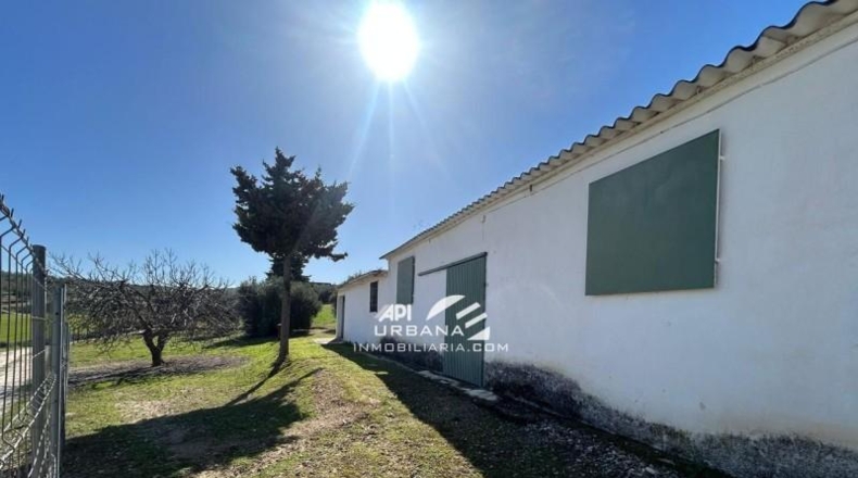 Córdoba - Lucena - 7000m2