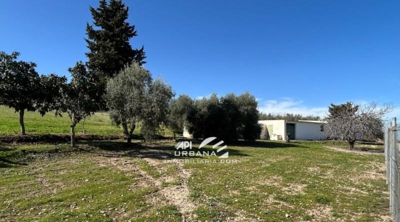 Córdoba - Lucena - 7000m2