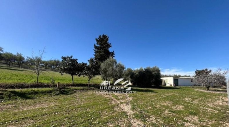 Córdoba - Lucena - 7000m2