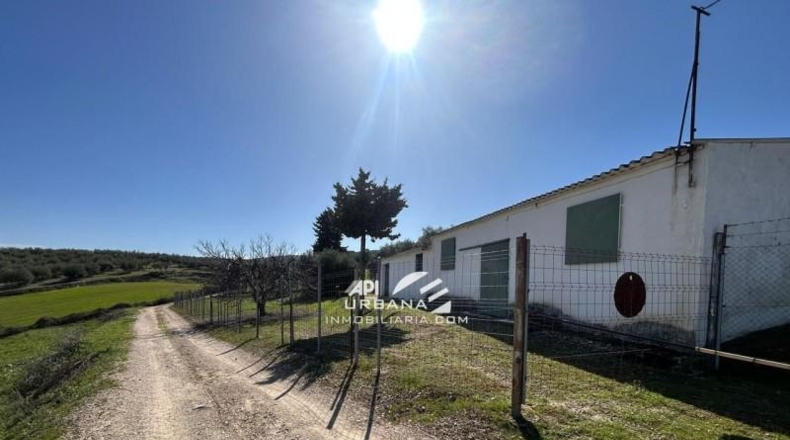 Córdoba - Lucena - 7000m2