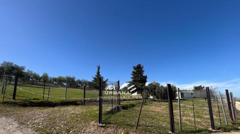 Córdoba - Lucena - 7000m2