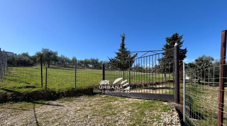 Córdoba - Lucena - 7000m2