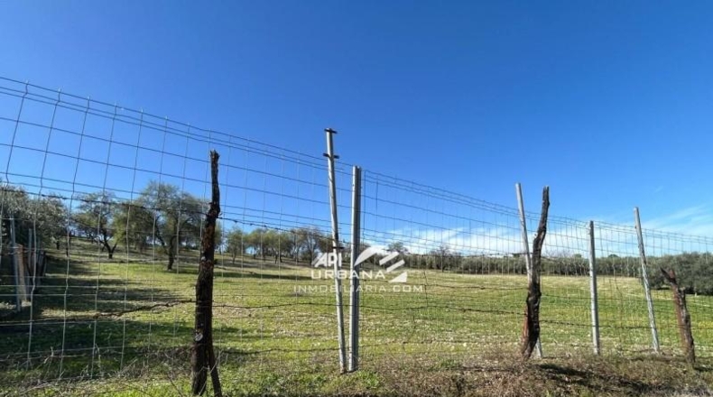 Córdoba - Lucena - 7000m2