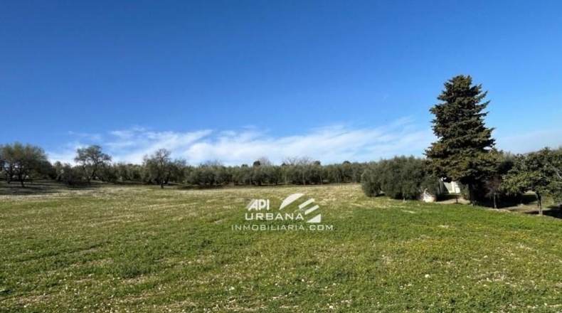 Córdoba - Lucena - 7000m2