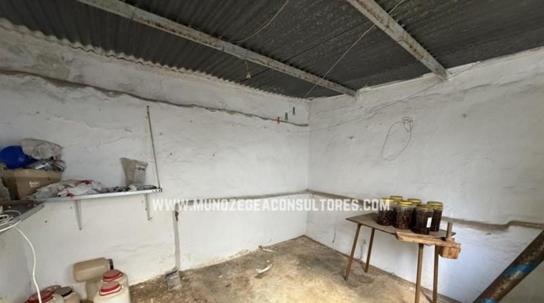 Córdoba - Lucena - 264m2