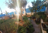 Дом с участком на продажу в городе l'Ametlla de Mar Фото