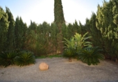 Detached villa with land for sale on España, Muro, ref: TR400200 photo