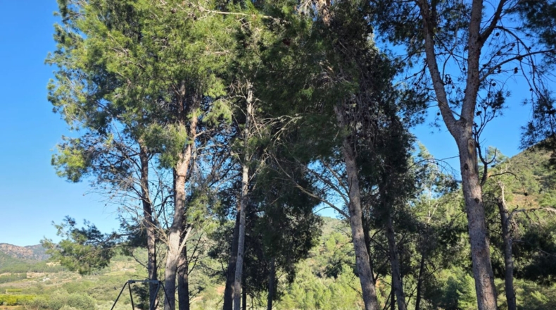 Castellón - Alfondeguilla - 95m2