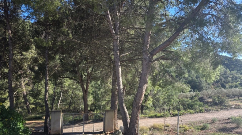 Castellón - Alfondeguilla - 95m2