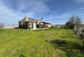 Menasalbas 10000&nbsp;m² 