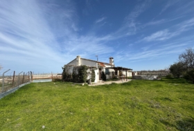 Menasalbas 10000&nbsp;m² 