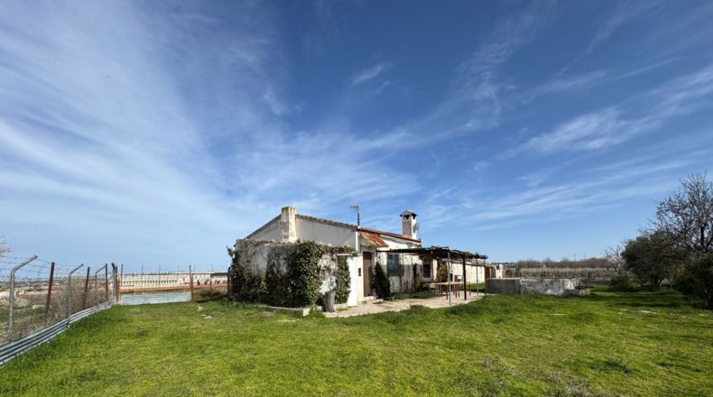 Toledo - Menasalbas - 5001m2