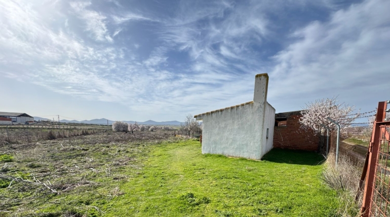 Toledo - Menasalbas - 5001m2