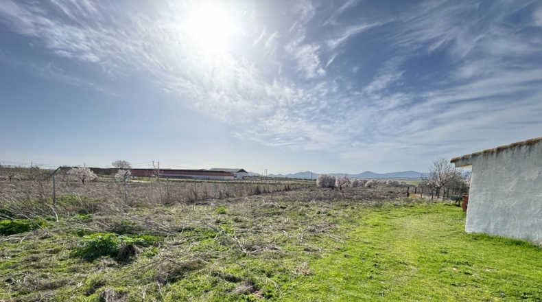 Toledo - Menasalbas - 5001m2