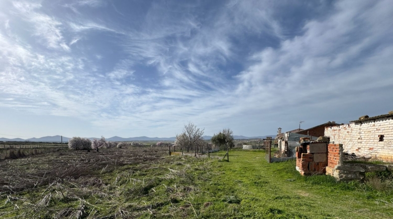 Toledo - Menasalbas - 5001m2