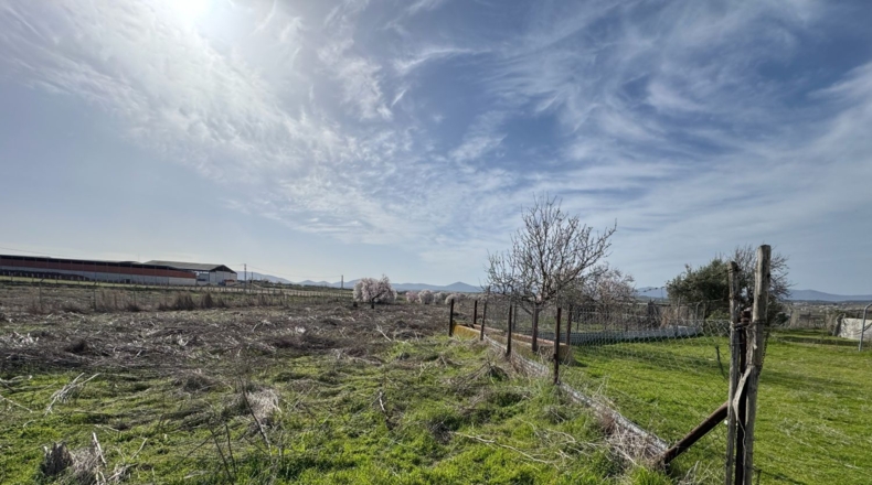 Toledo - Menasalbas - 5001m2