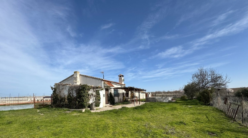 Toledo - Menasalbas - 5001m2