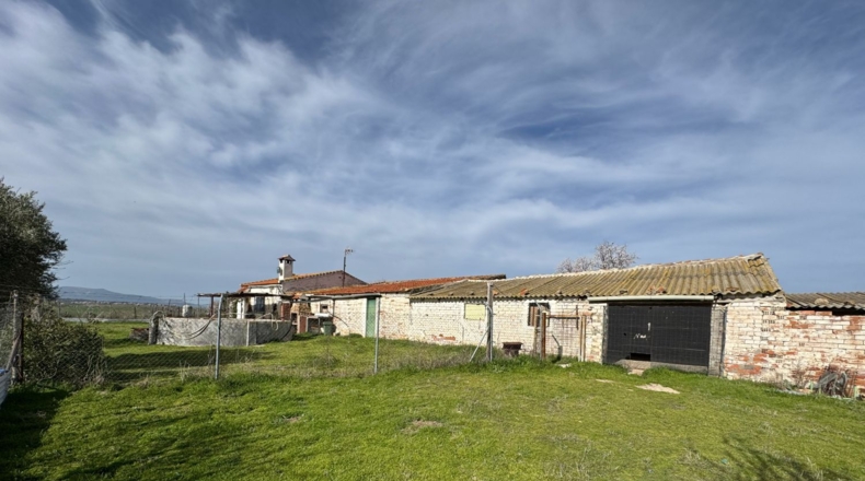 Toledo - Menasalbas - 5001m2