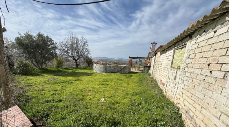 Toledo - Menasalbas - 5001m2