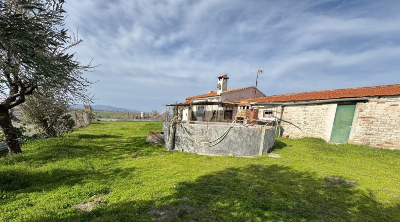 Toledo - Menasalbas - 5001m2