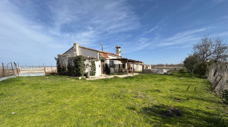 Toledo - Menasalbas - 5001m2