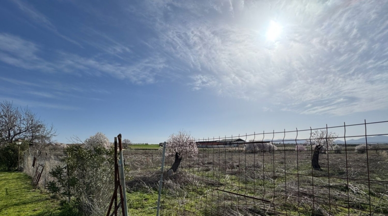 Toledo - Menasalbas - 5001m2