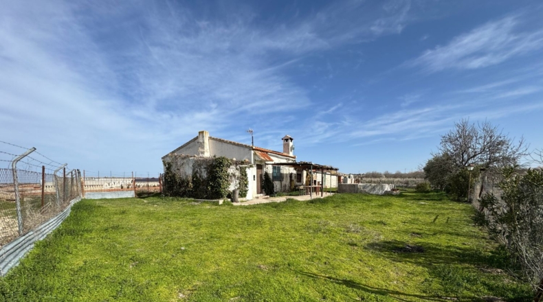 Toledo - Menasalbas - 5001m2