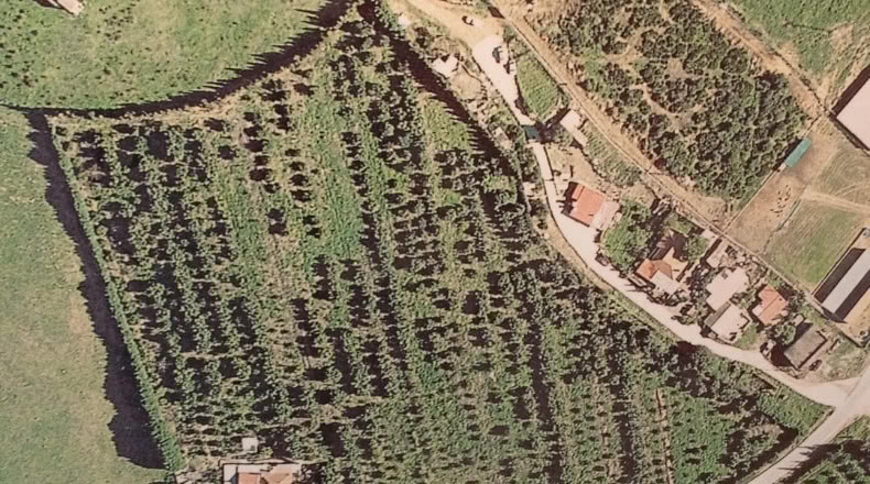 Cádiz - San Martín del Tesorillo - 25000m2