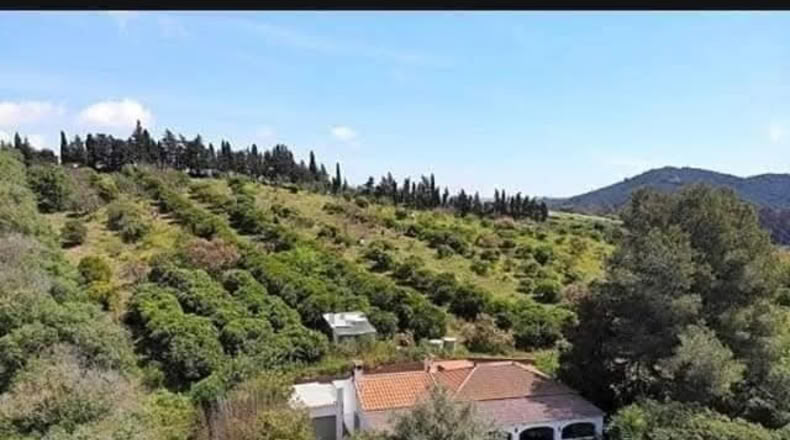 Cádiz - San Martín del Tesorillo - 25000m2